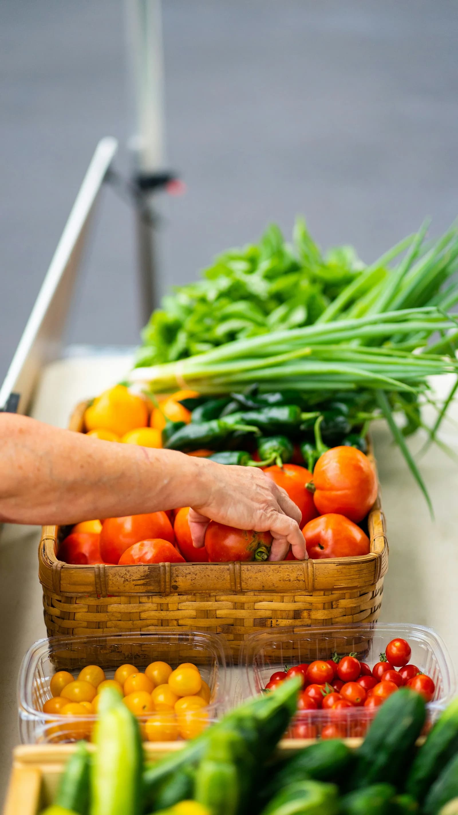 A basket filled with freshly harvested vegetables.