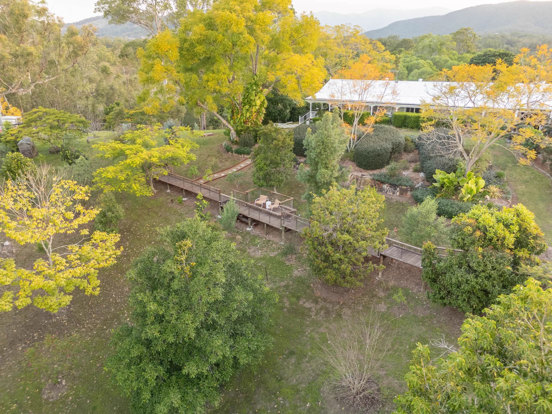 Aerial view of the homestead gardens with the boardwalk winding between the trees.