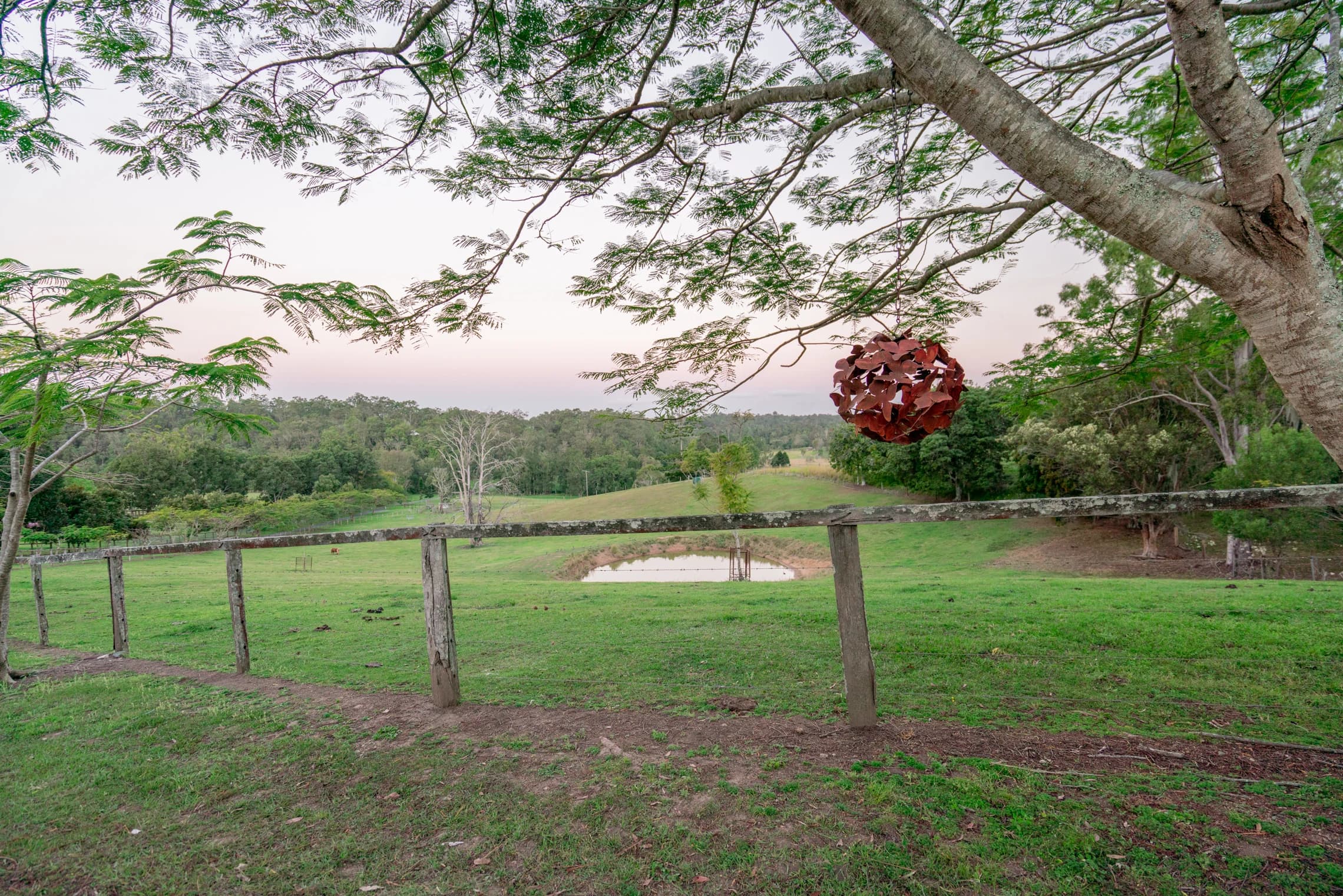 A pond and paddock framed by a garden tree and hanging planter.
